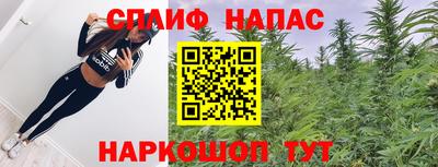 винт Владимир