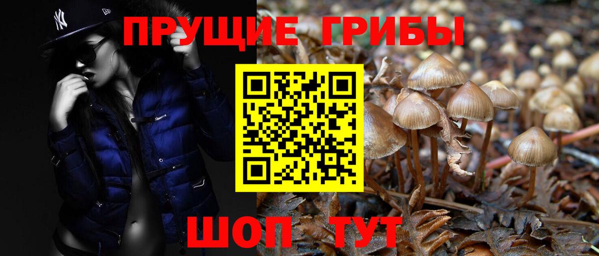 Изобильный  Галлюциногенные грибы мухоморы  Вход с VPN 